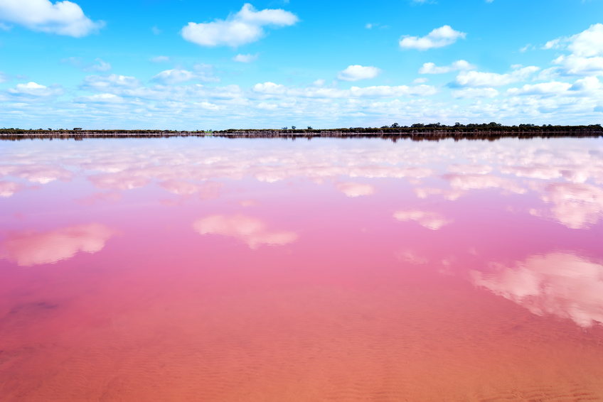Australien: Sehenswürdigkeiten und Fakten - Salzsee Lake Hillier