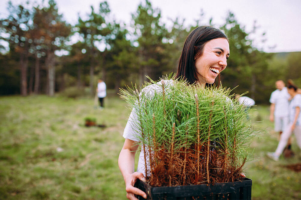 Eine Frau pflanzt Bäume für die Umwelthilfe von Lottoland.