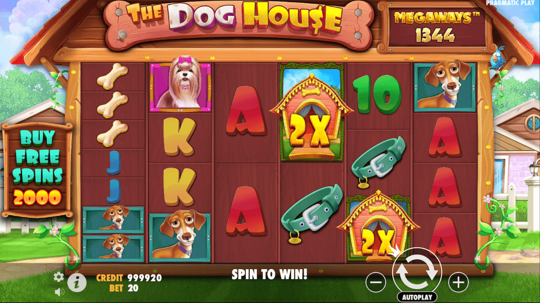 One of the best Megaways slots, The Dog House